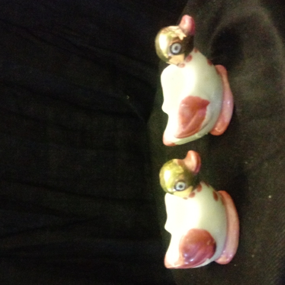 Ceramic duck dish
